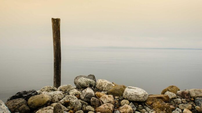 Les meilleurs générateurs vidéo IA réalistes en 2026