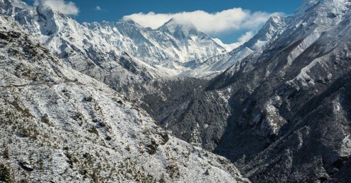 Copilot Microsoft quitte WhatsApp - alternatives