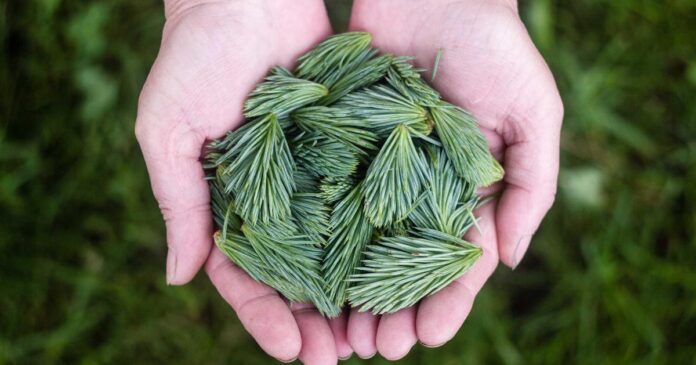 Mistral AI Actions function calling guide Mistral AI Actions : guide function calling