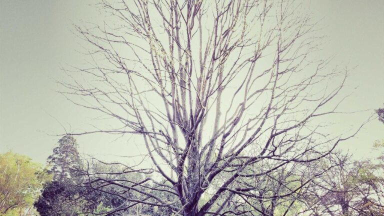 Prompts ChatGPT pour le développement personnel